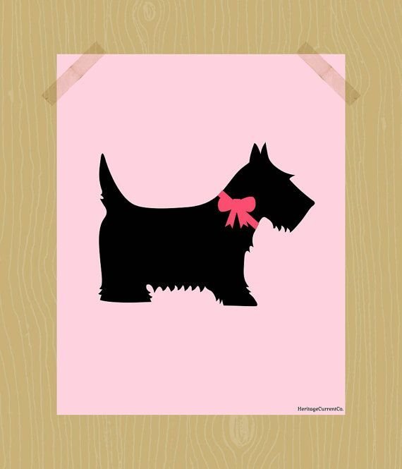 Скотч терьер