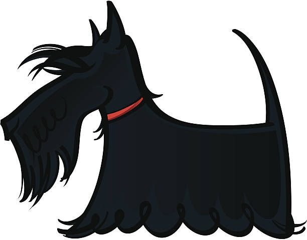 Силуэт шотландского терьера