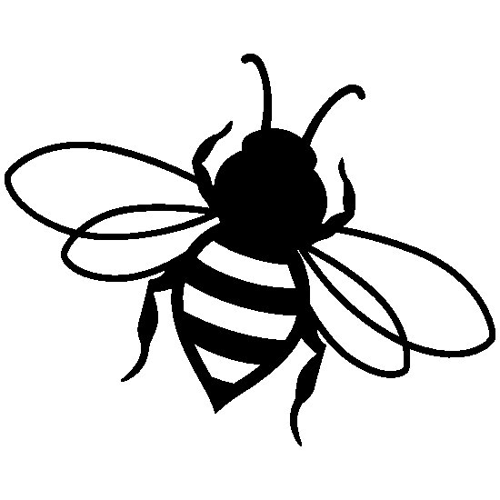 Шмель раскраска для детей