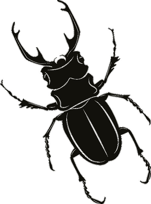 Жук трафарет