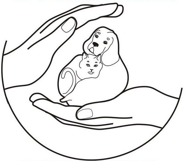 Раскраска на тему защита животных