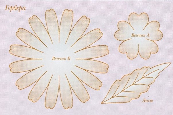 Шаблоны цветов из фоамирана