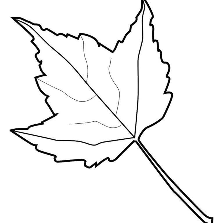 листья для 23 февраля