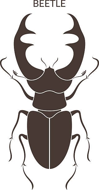 Жук олень стилизация