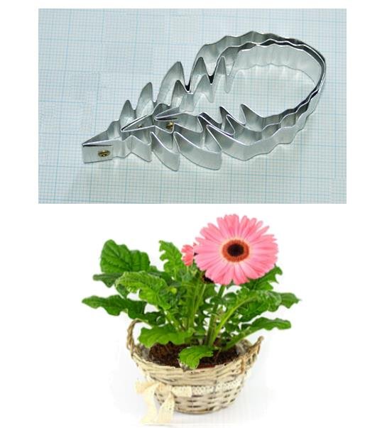 Листья герберы