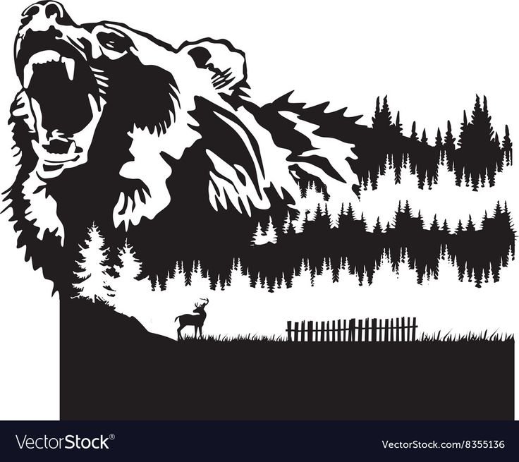 Медведь векторное изображение