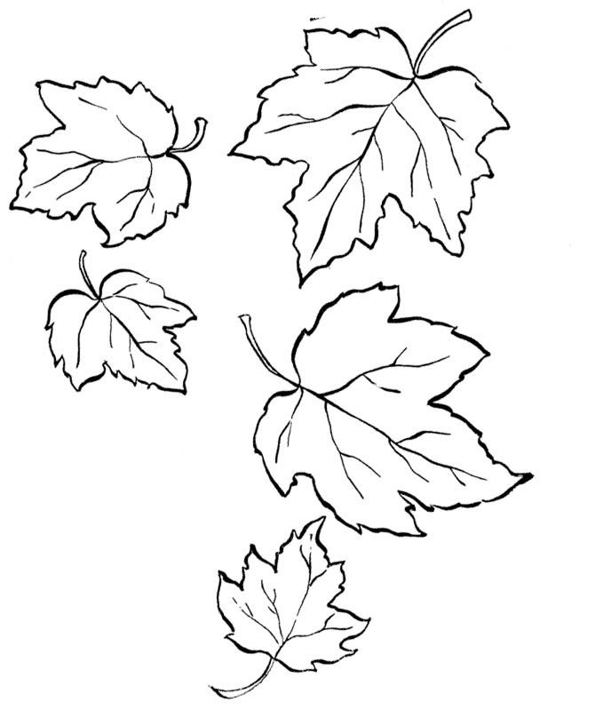 Трафарет осенних листьев
