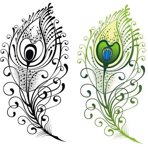 Перо павлина рисунок