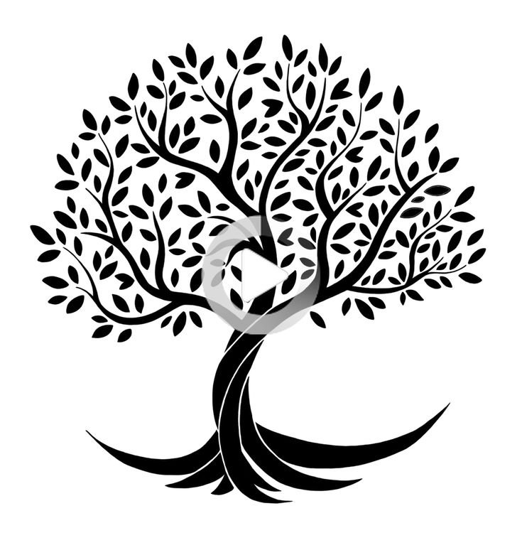 Красивый силуэт дерева