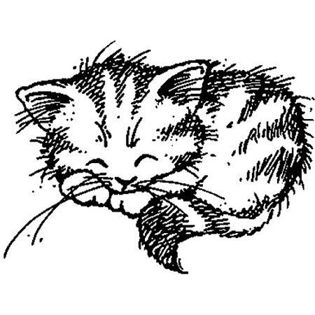 Рисунок коте для выжигания