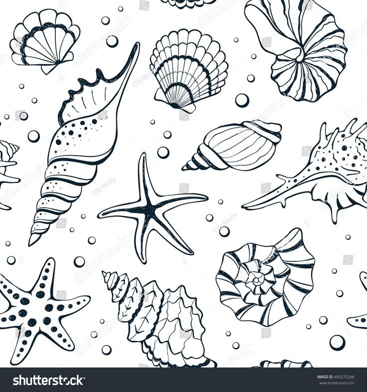 Морские ракушки раскраски для детей