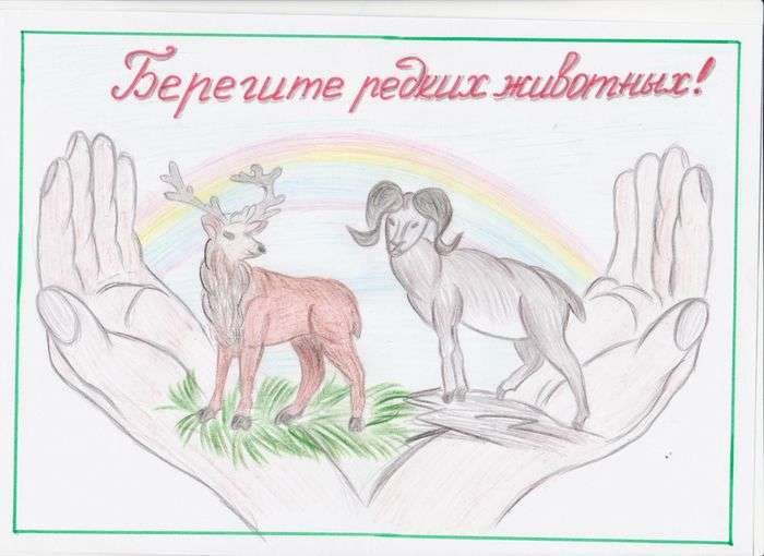 Плакат берегите животных