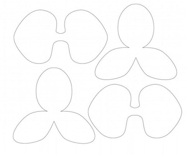 Орхидея фаленопсис шаблоны лепестков