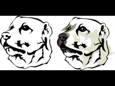 Среднеазиатская овчарка вектор