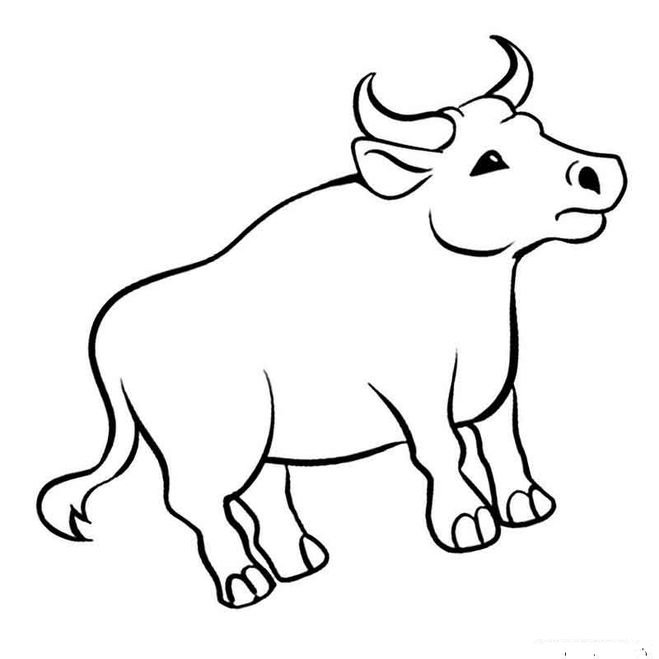 Бычок раскраска для детей