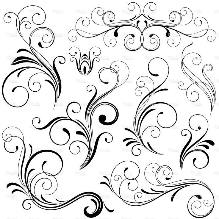 Орнамент завитки