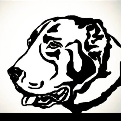 Среднеазиатская овчарка алабай черно белая