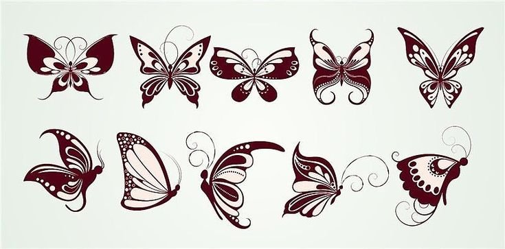 Трафарет бабочки для торта