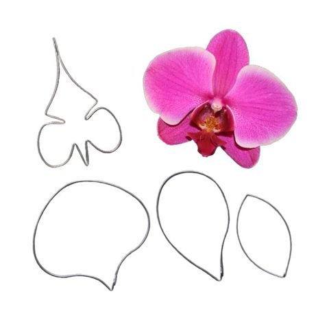 Каттер Орхидея фаленопсис