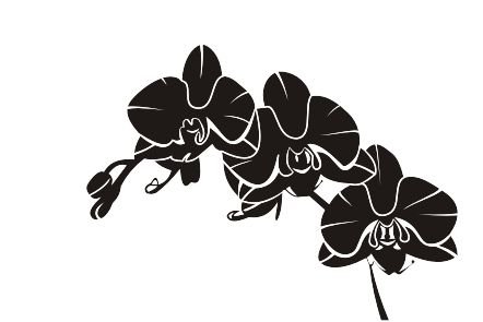 Трафарет орхидеи