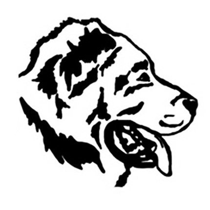 Среднеазиатская овчарка