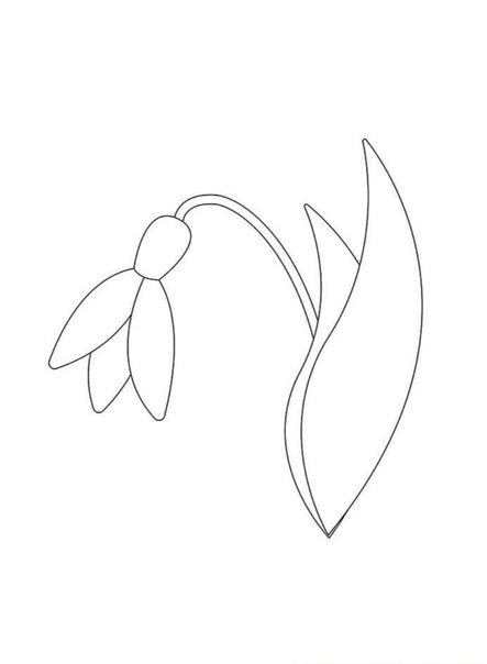 Подснежники раскраска для детей