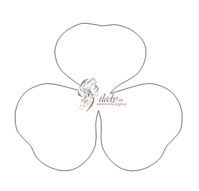 Трафареты лепестков цветов