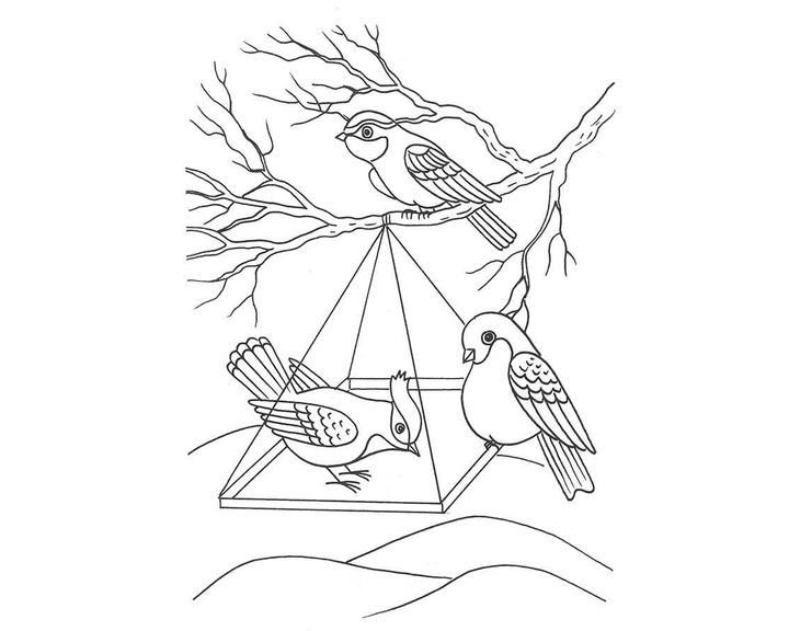 Кормушка для птиц раскраска