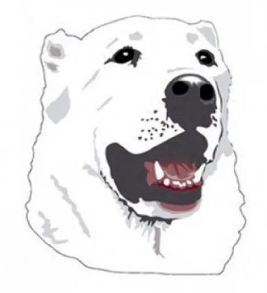 Среднеазиатская овчарка