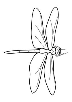 стрекоза для 3д ручки