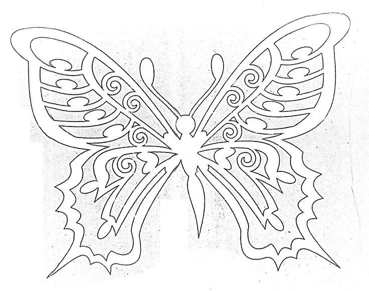 Трафарет бабочки для вырезания