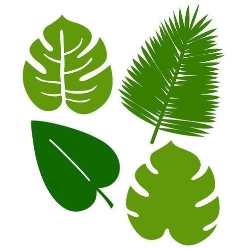 Тропические листья для печати