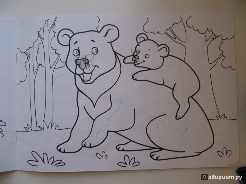 Эскиз берегите животных