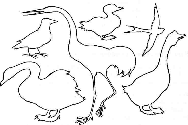 Звдвния для дошкольников перелётные птицы