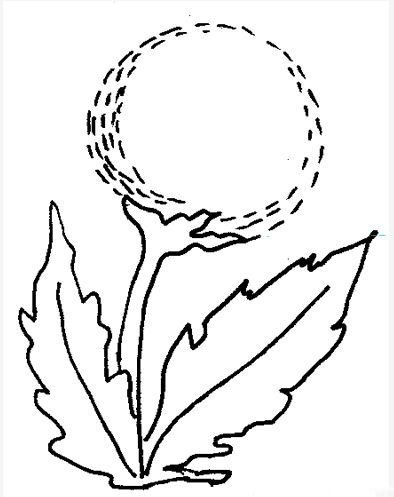 Одуванчик раскраска для детей 3-4 лет