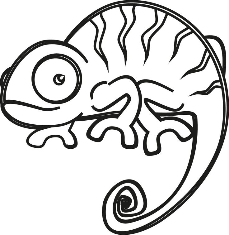 Хамелеон раскраска для малышей