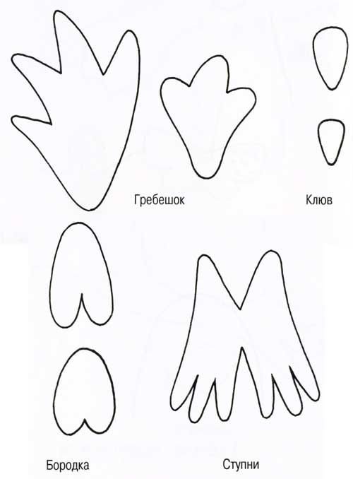 Трафарет гребешок цыпленка