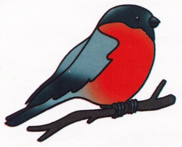 Снегирь для детей 3-4 лет