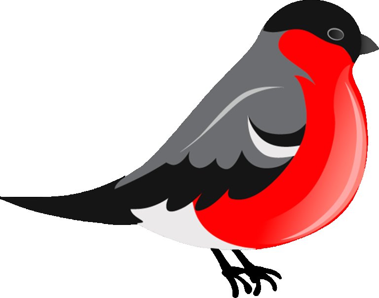 Снегирь рисунок