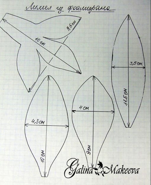 Выкройка лепестков лилии