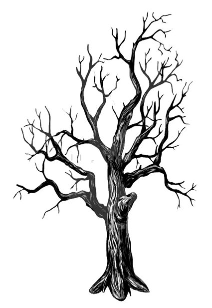 Наброски деревьев