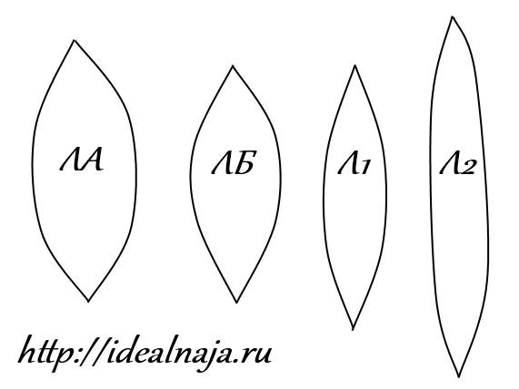 Трафарет лепестка лилии