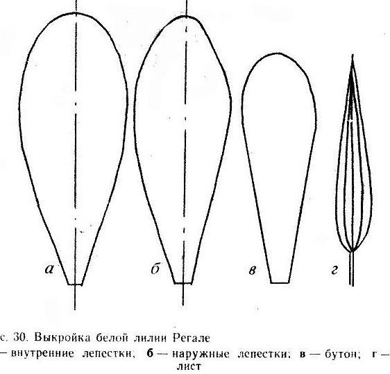 Трафареты лепестков цветов