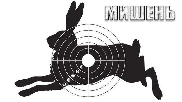 Пристрелочная мишень для пневматики