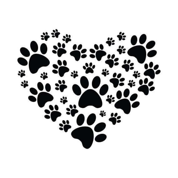 Отпечаток лапы собаки