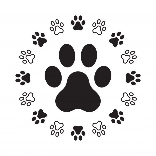 Отпечаток лапки кота