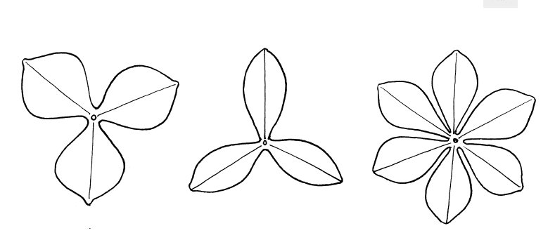 Заготовка цветок