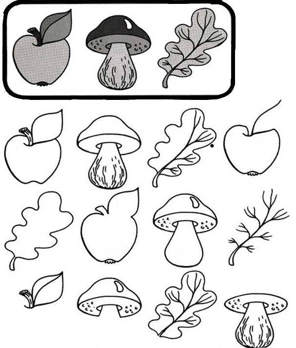 Грибы раскраска для детей