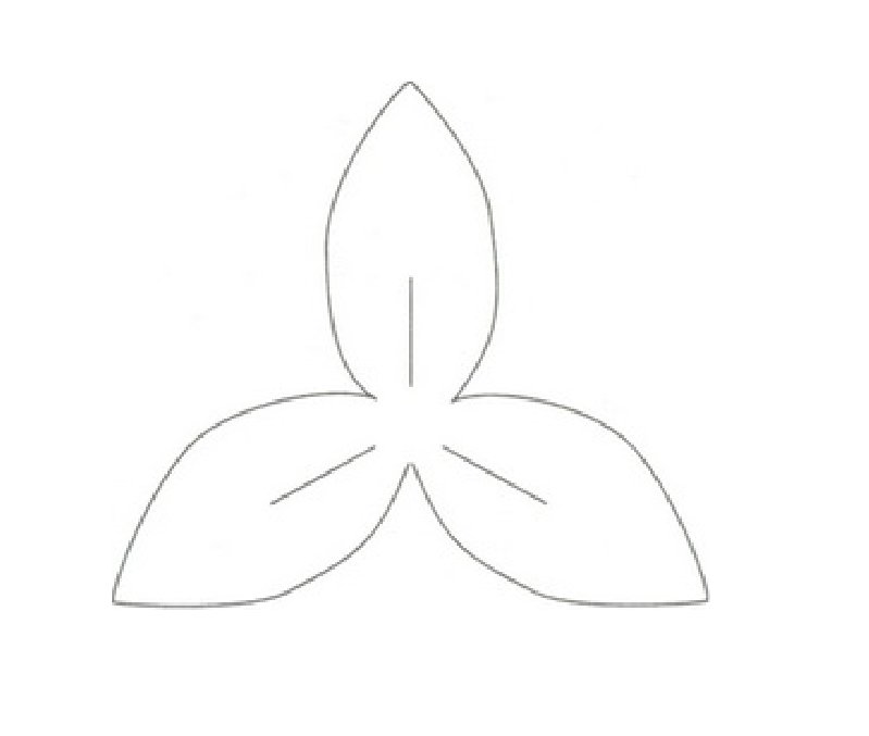 Цветок с тремя лепестками