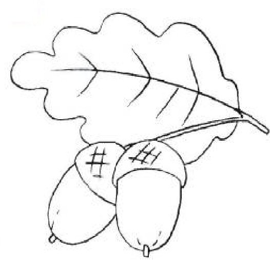 Дубовый лист трафарет